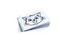 Animaux de compagnie - chat - petit