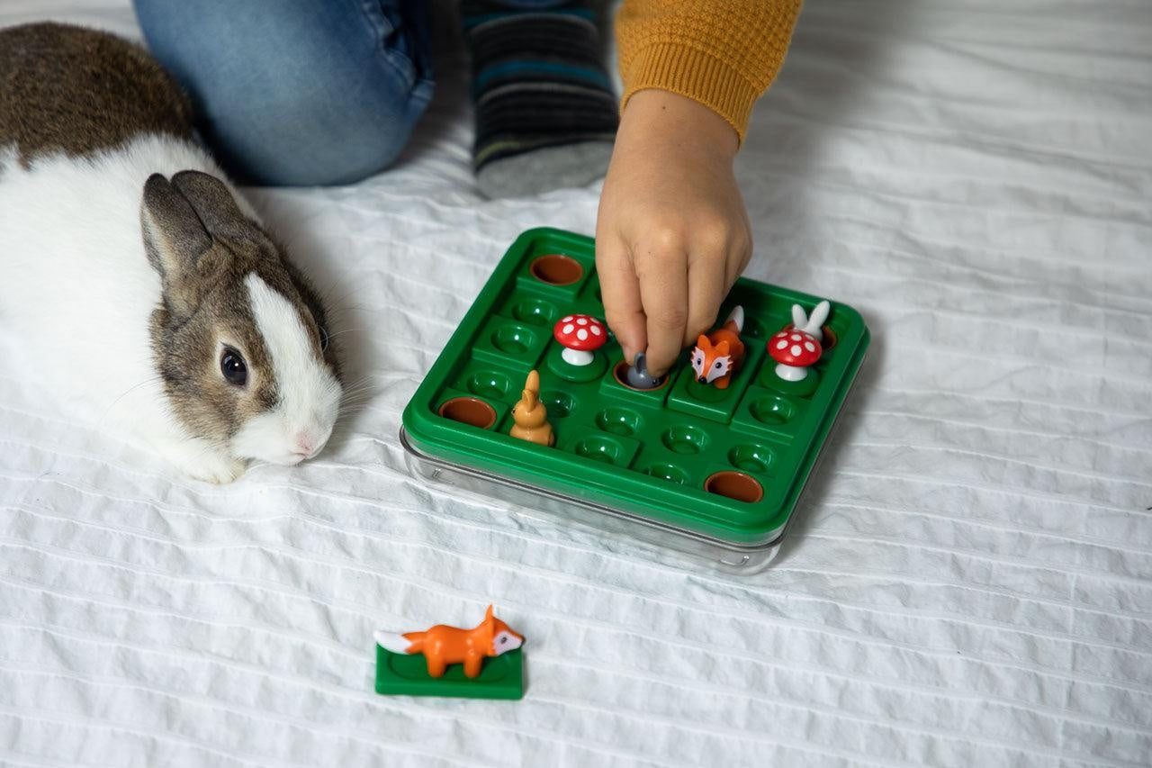 Jump'In (Travel - Compact Games)