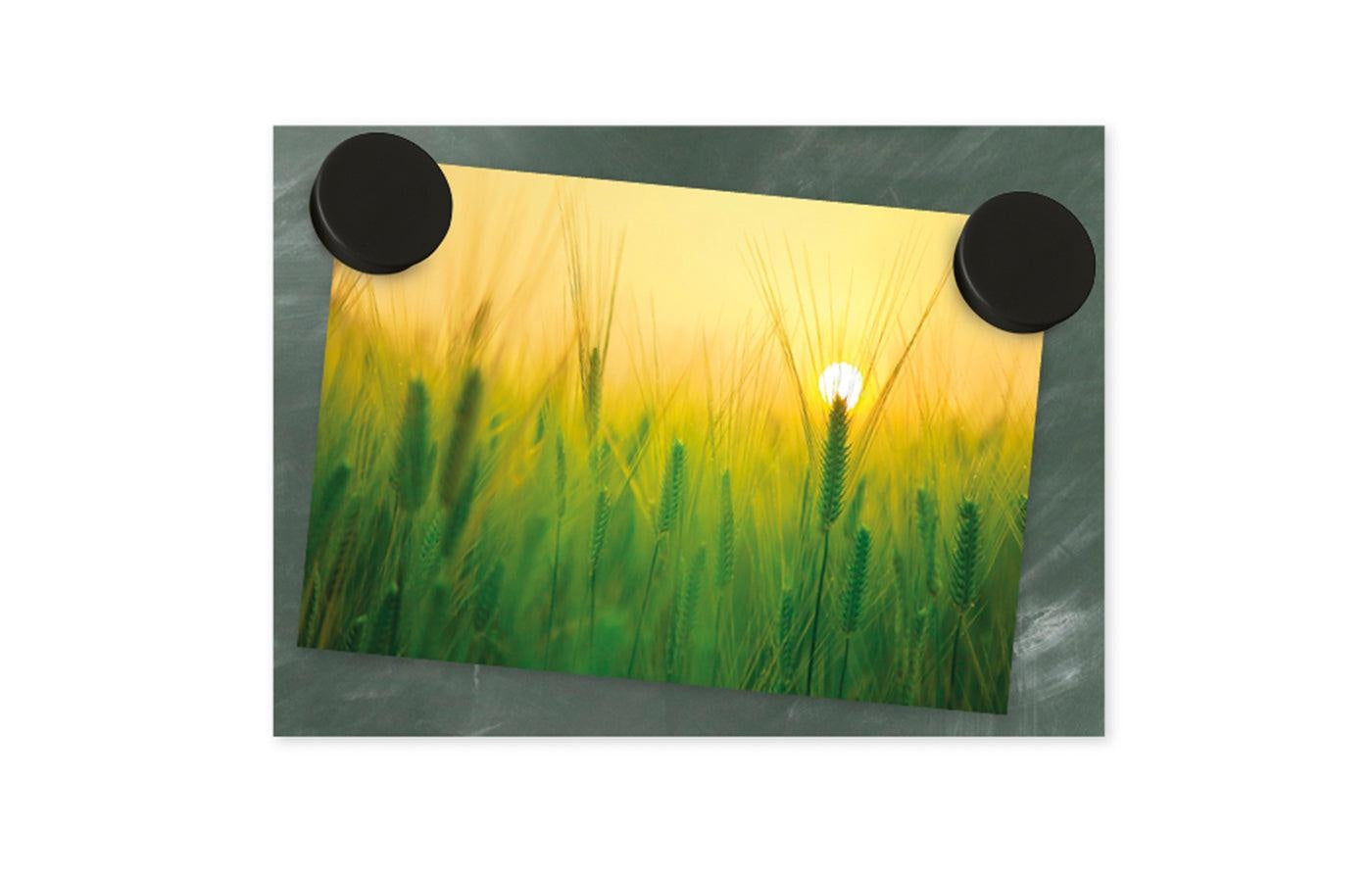 Magneten - zwart (50)