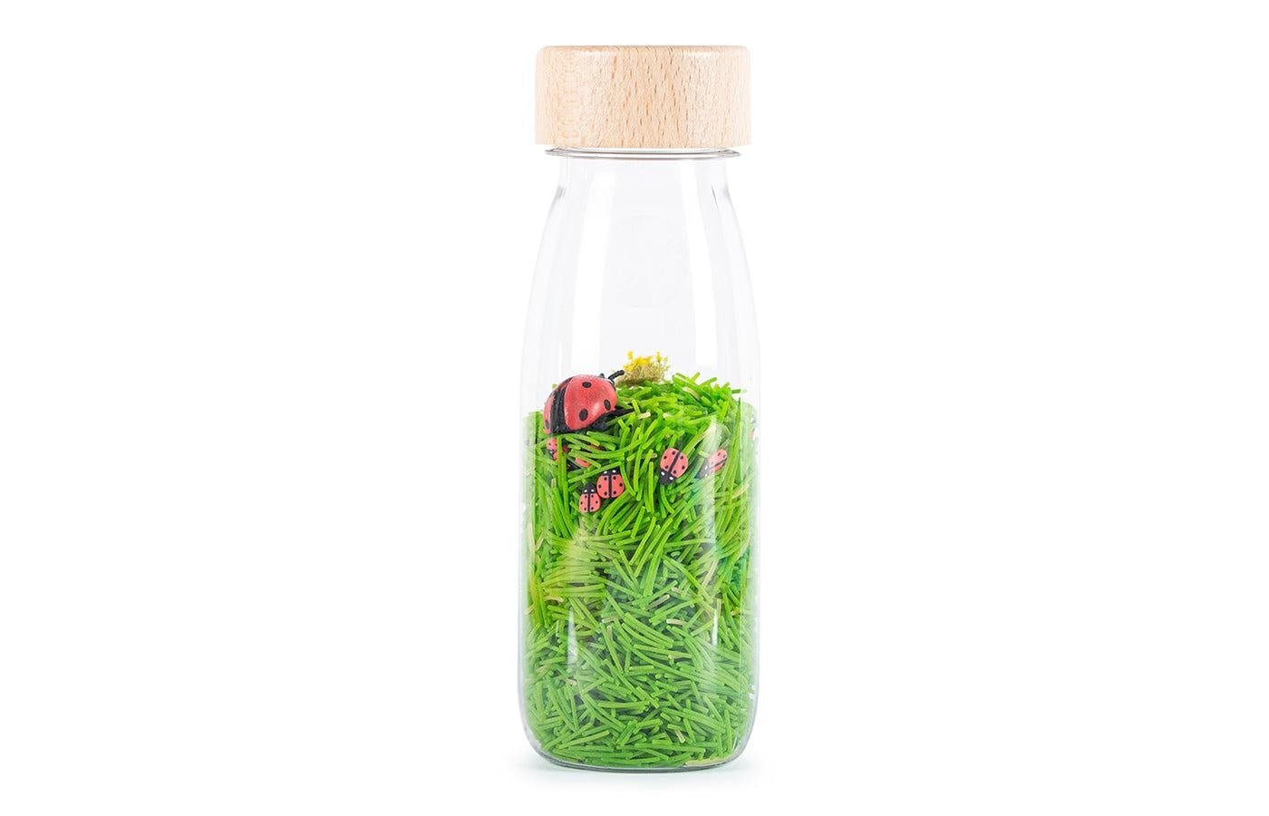 Sensorische Sound Bottle - lieveheersbeestjes
