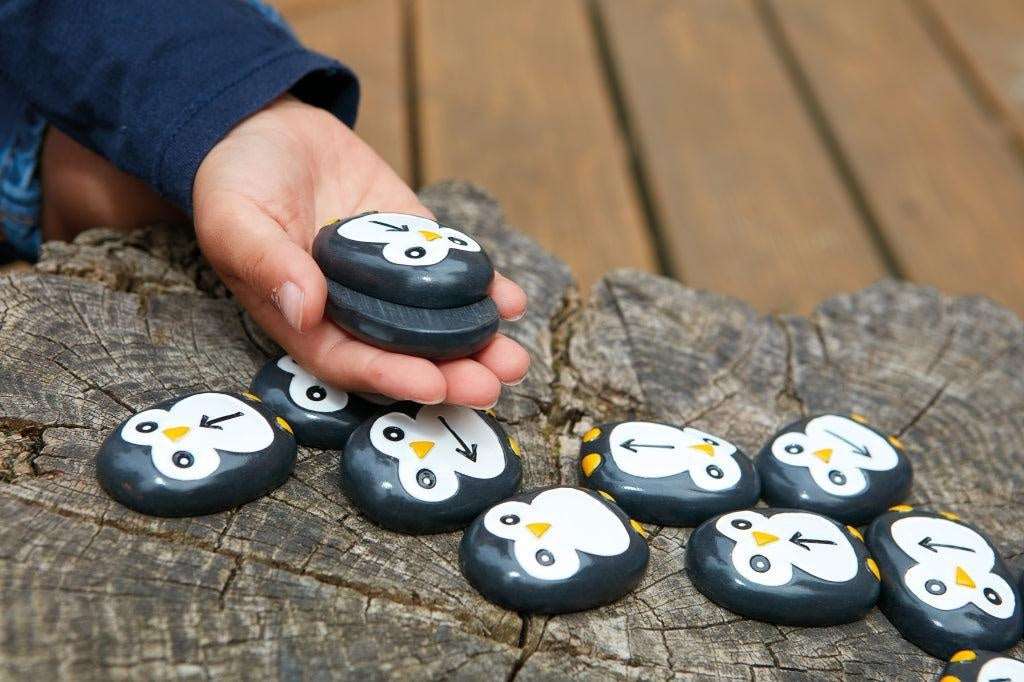 Codeer pinguïn stenen
